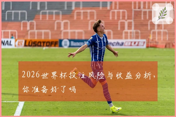 2026世界杯投注风险与收益分析，你准备好了吗
