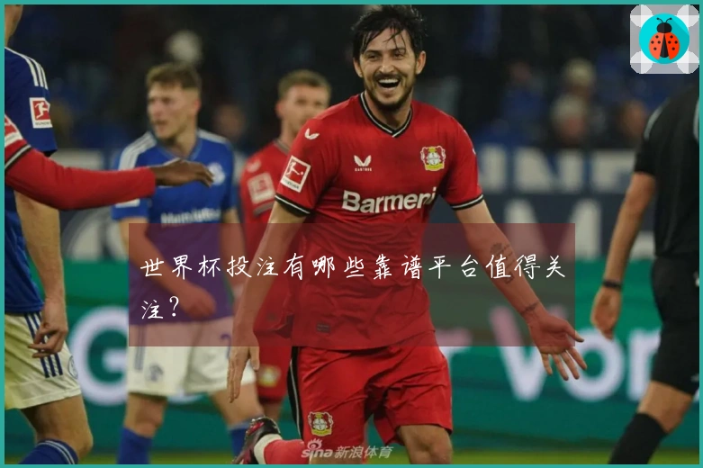 世界杯投注有哪些靠谱平台值得关注？