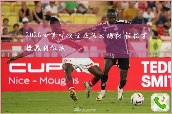 2026世界杯投注技巧大揭秘 轻松掌握赢利秘诀